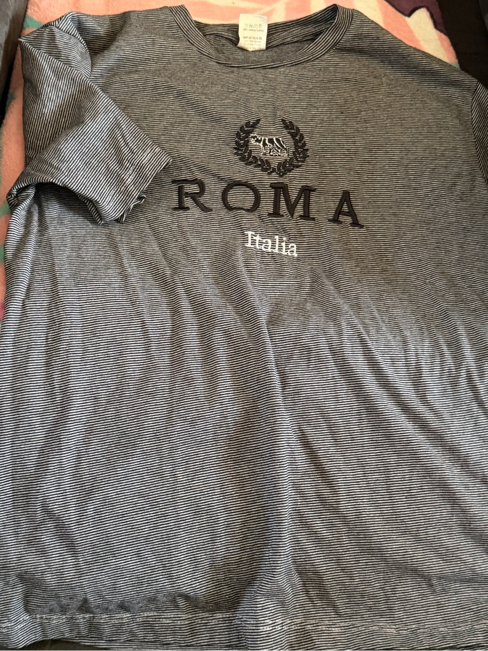 ROMA Striped Short-Sleeve Tee in Gray and Black